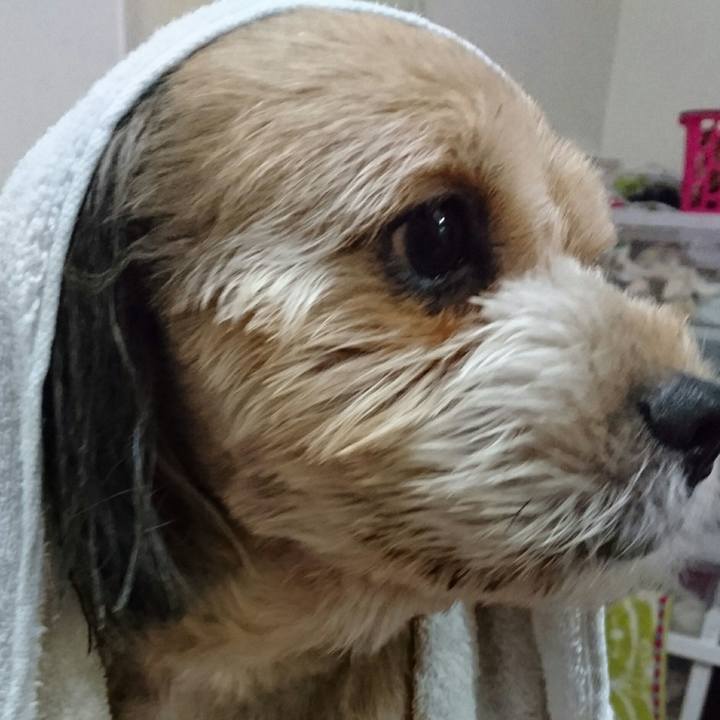 Ea77b001 178c 4d7c 8069 15ff043d6517