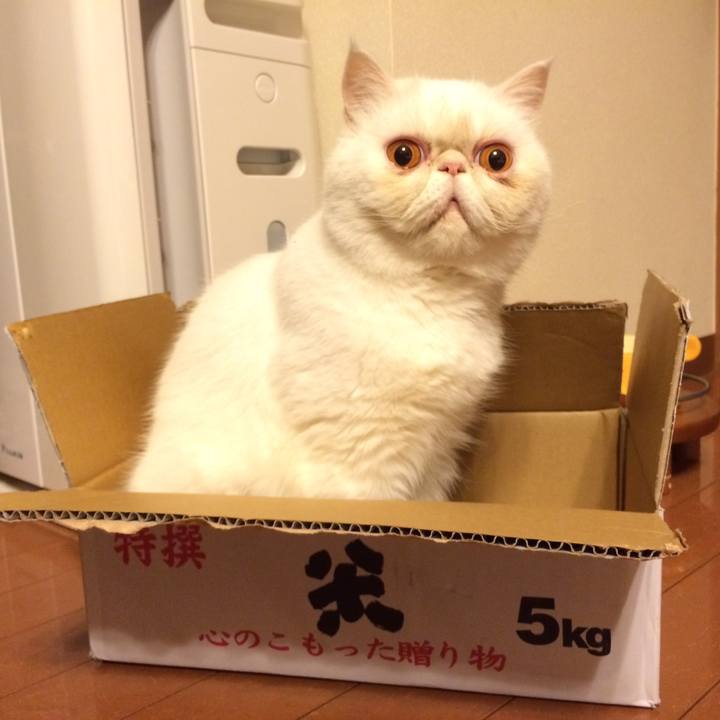 Ea781d29 df4a 4cf8 969c 3bc3c2f55b2b