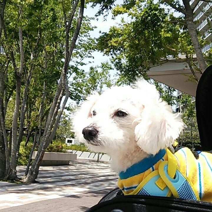 Ea7825ac c08e 4071 808f fae96f33a8ee