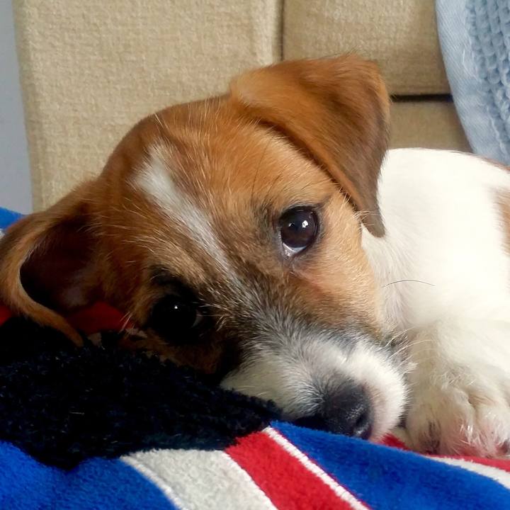 Ea785655 42ae 4b70 8c86 db9af2e6a038