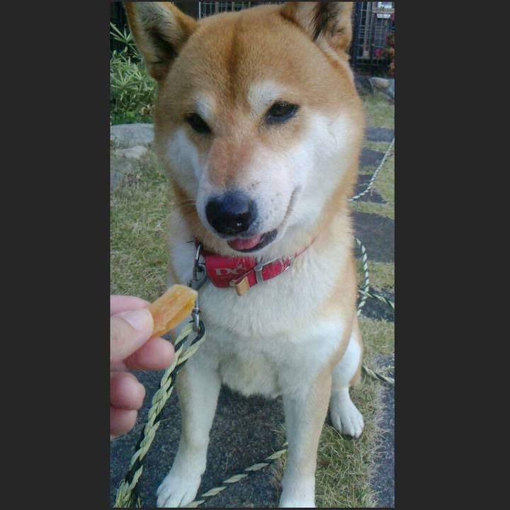 Ea78c503 e2d9 4e69 9755 5212ca8d5795