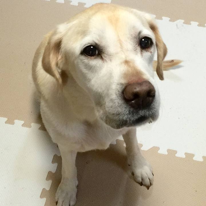 Ea793244 aaa0 44d5 91f6 a741138a1709