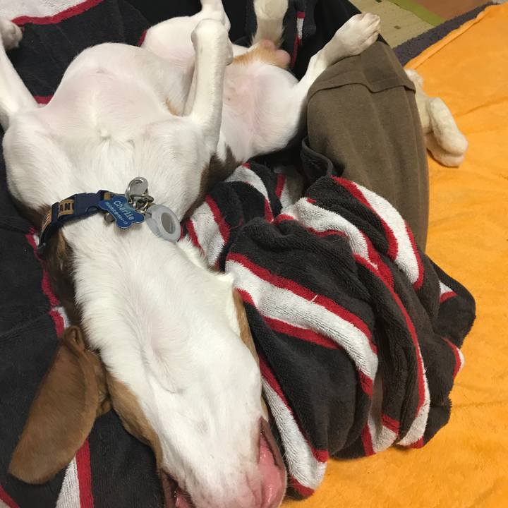 Ea79e871 9e32 446a a571 b5eda4c3df3e