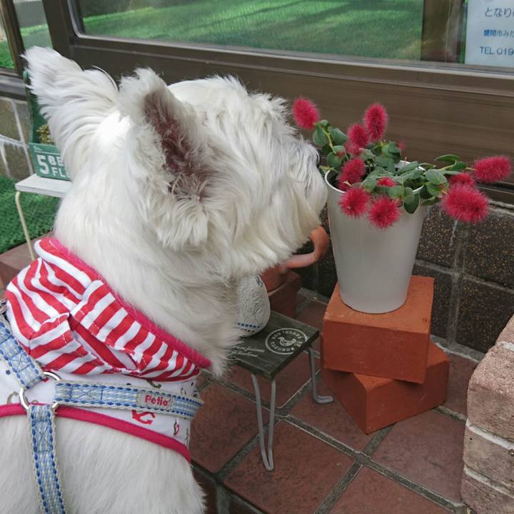 Ea7a026b d31a 4f11 835e 3d185651f18e