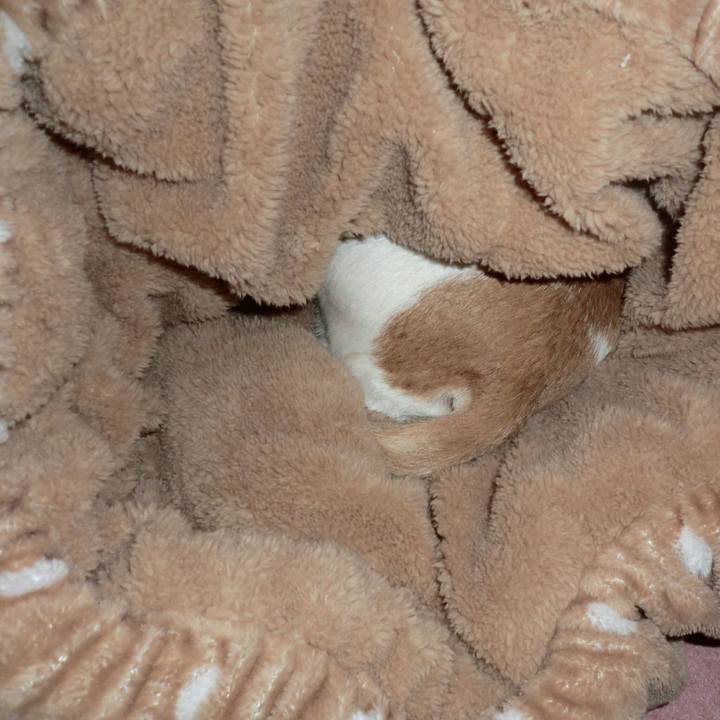 Ea7a34c6 6e91 4a4d af3b e7f1004003c7