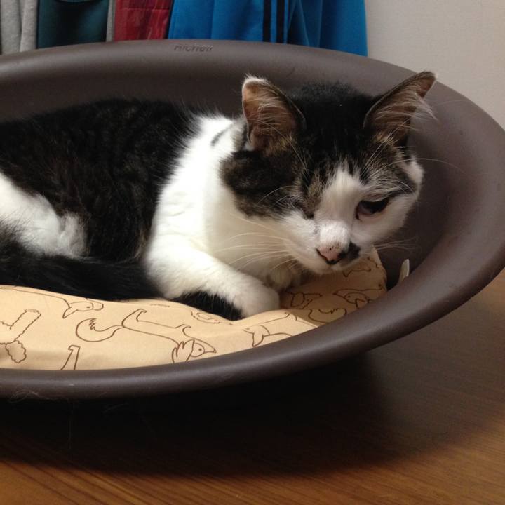 Ea7aea6e b7ce 449e 9625 282ea5f51c6b