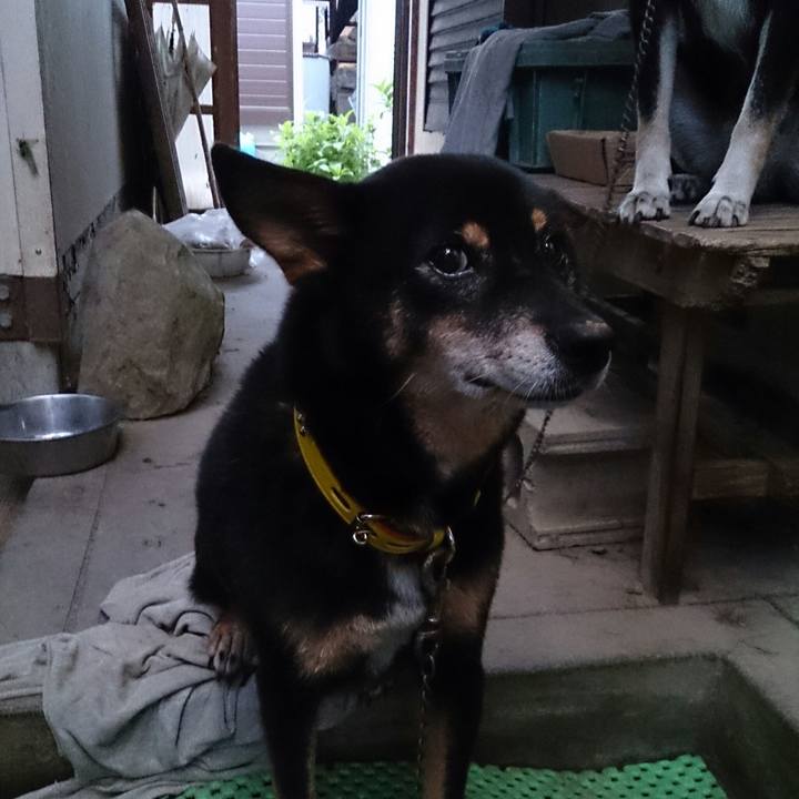 Ea7af4e5 a3b7 4511 9c24 15cddbf4f659