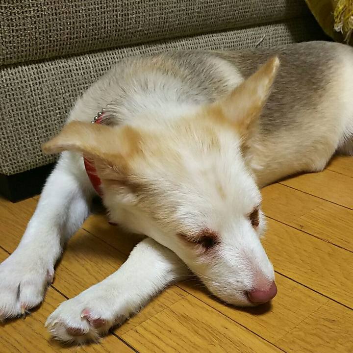 Ea7c0391 95dd 41e4 b108 918dc7ca7b1d