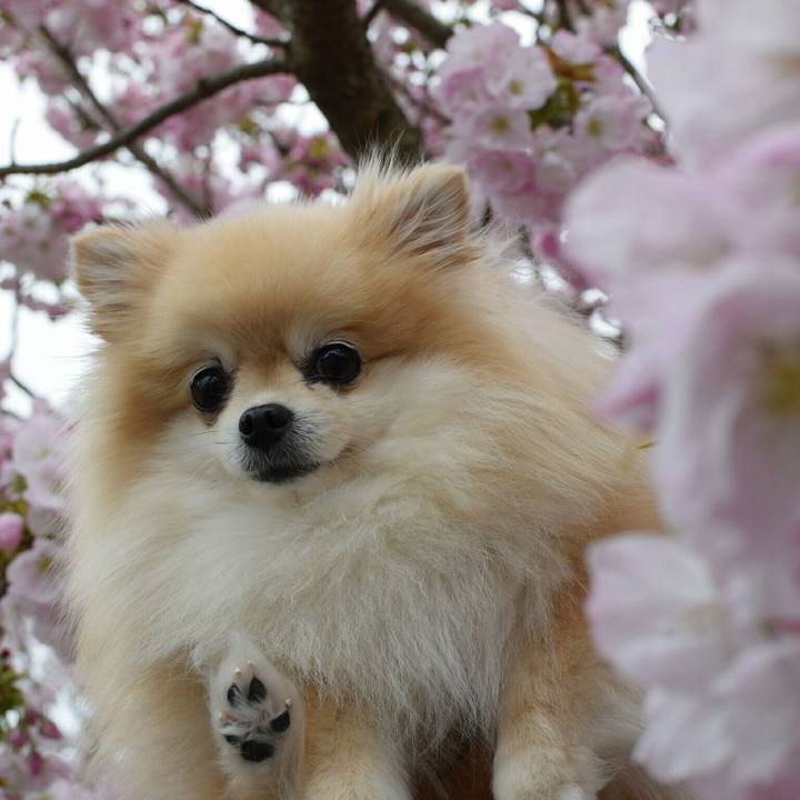 Ea7c3fcc 447e 4497 8927 c2805f1a6039