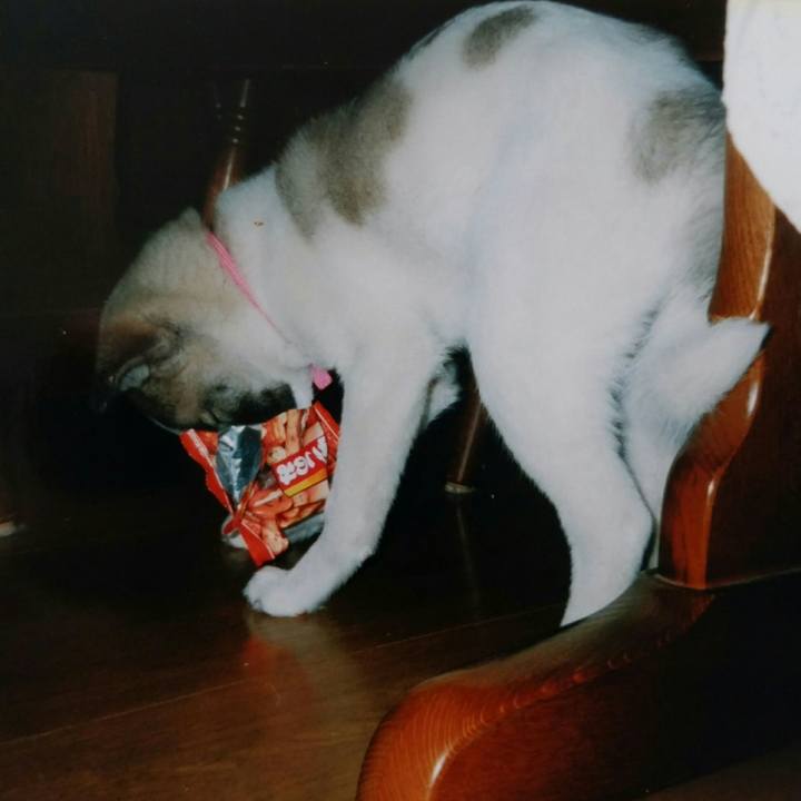 Ea7c625c 1395 423d ba5b 19af041147a8