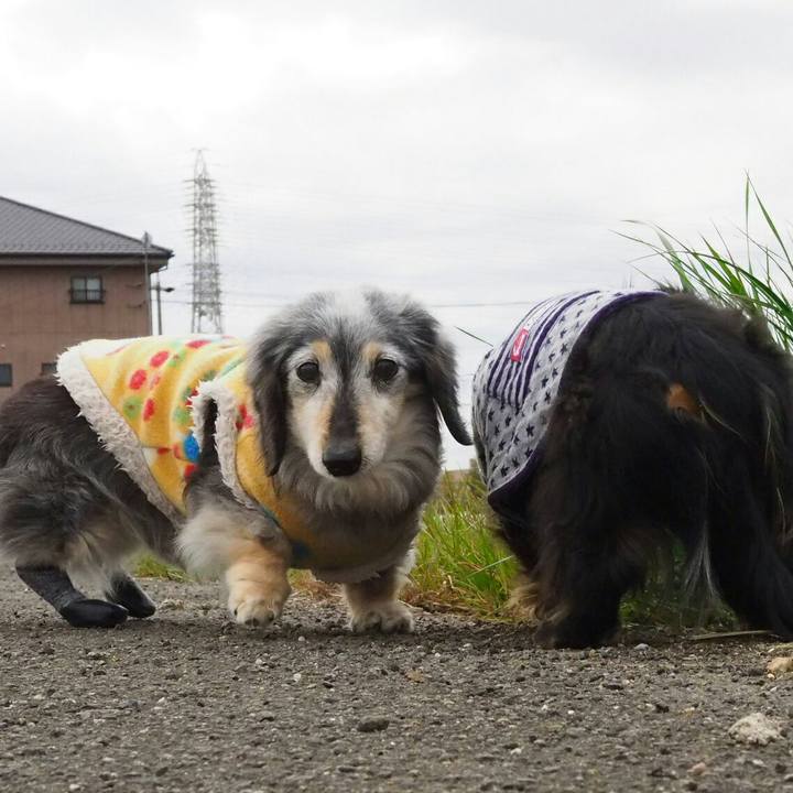 Ea7d4e8a d586 4f89 af96 e22edc3d25ae