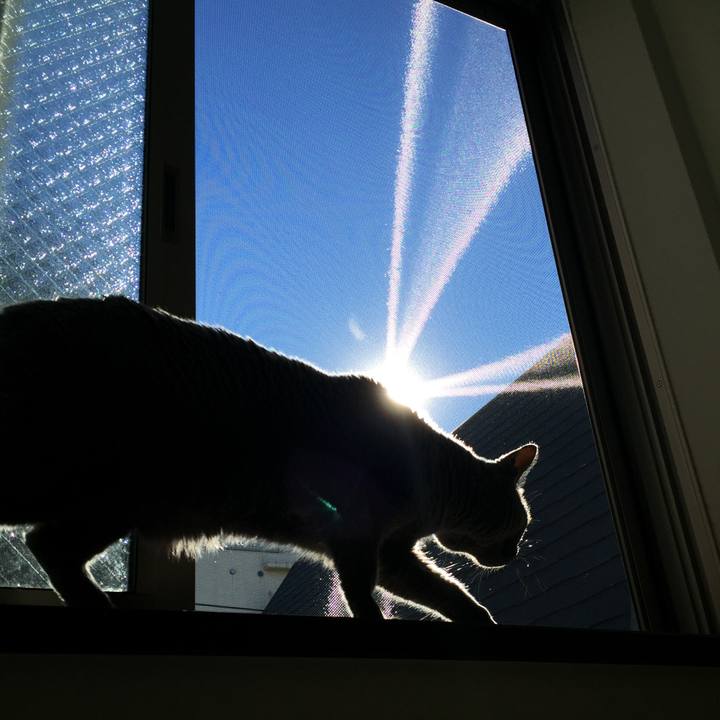 Ea7d815c bf2a 4c18 b5d1 ed0451f60c28