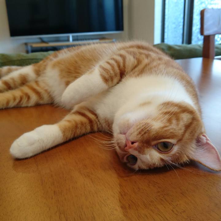 Ea7d99a5 9bef 413f a092 a17e726f43ce