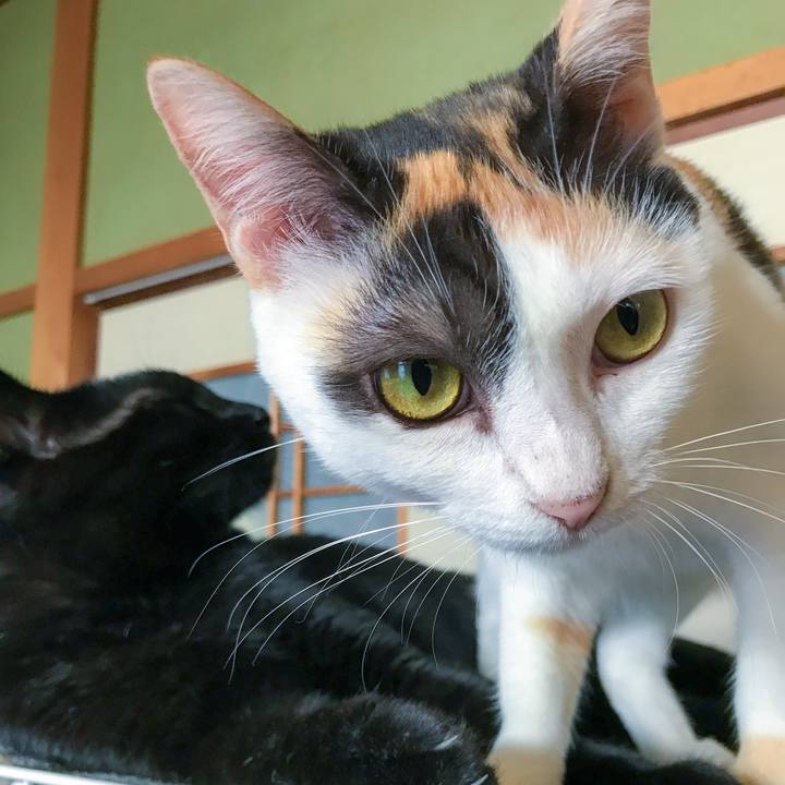 Ea7e09b3 171b 4b46 be6d e62aed1a7e32