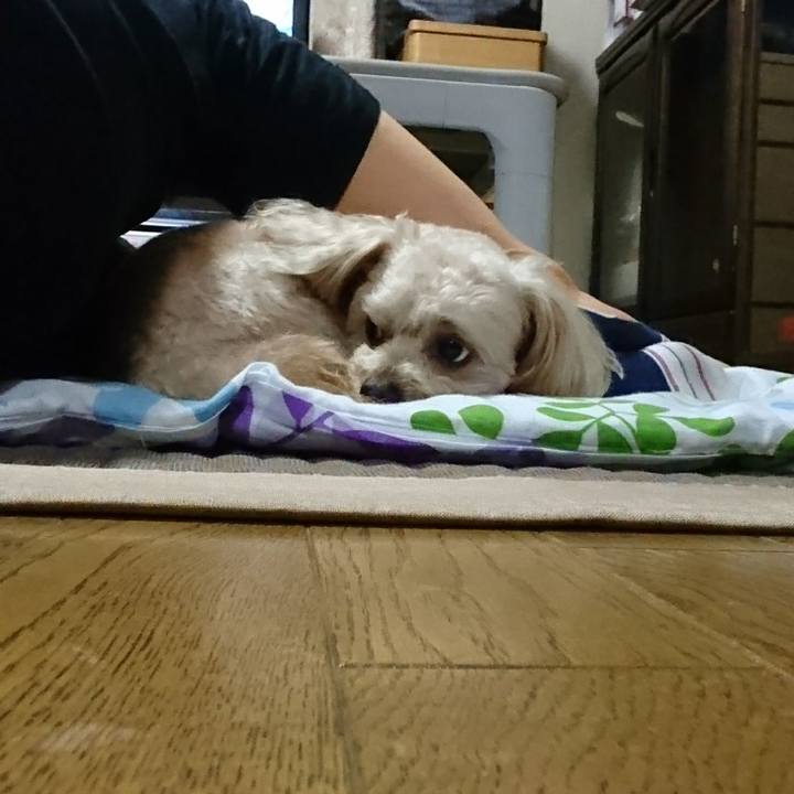 Ea7e8491 c36a 4c6a ab5f d88d38e8b041