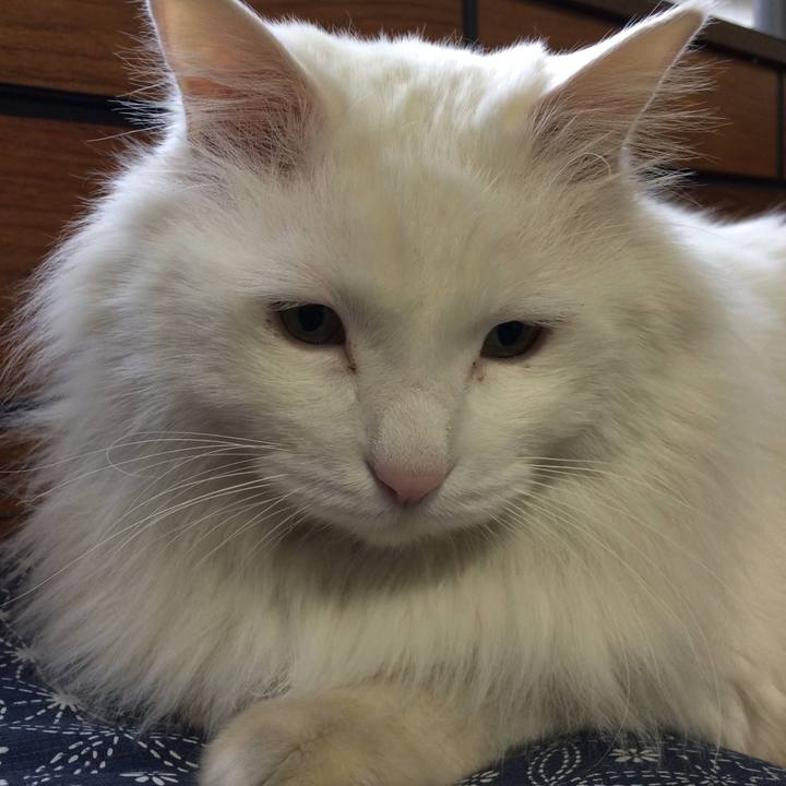 Ea7edaf5 16f3 4ba0 905c 22cb5196ece6