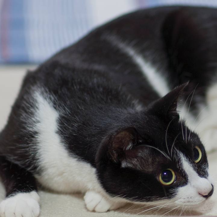 Ea7ede18 f246 4622 b9be 4e9fc255c112