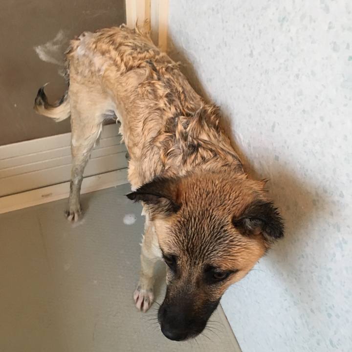 Ea7ef053 a558 4f92 a21d 3c0b8dcb986e