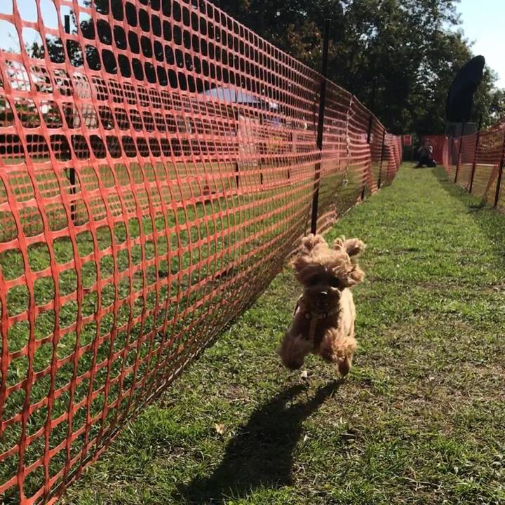 Ea7f08a4 71fd 4c22 9ed7 201b6c670ddd