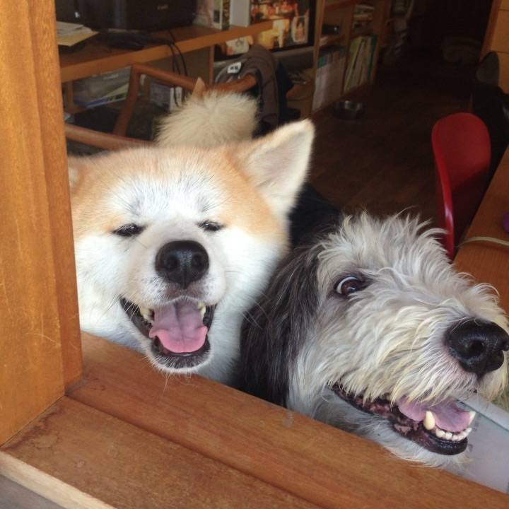 Ea7f3eea 60e1 4e00 8c0d 475265195f12