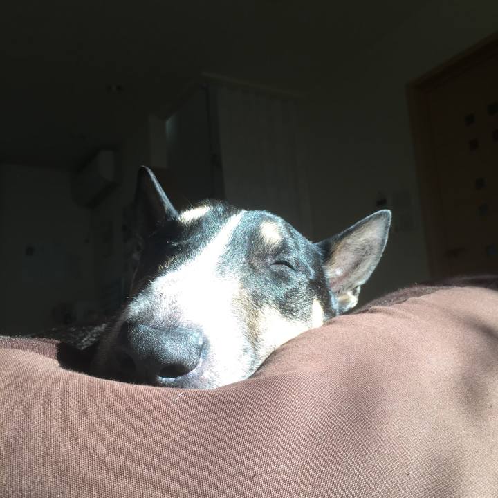 Ea7f414c bb8c 4139 ad56 7e99e883d9c3