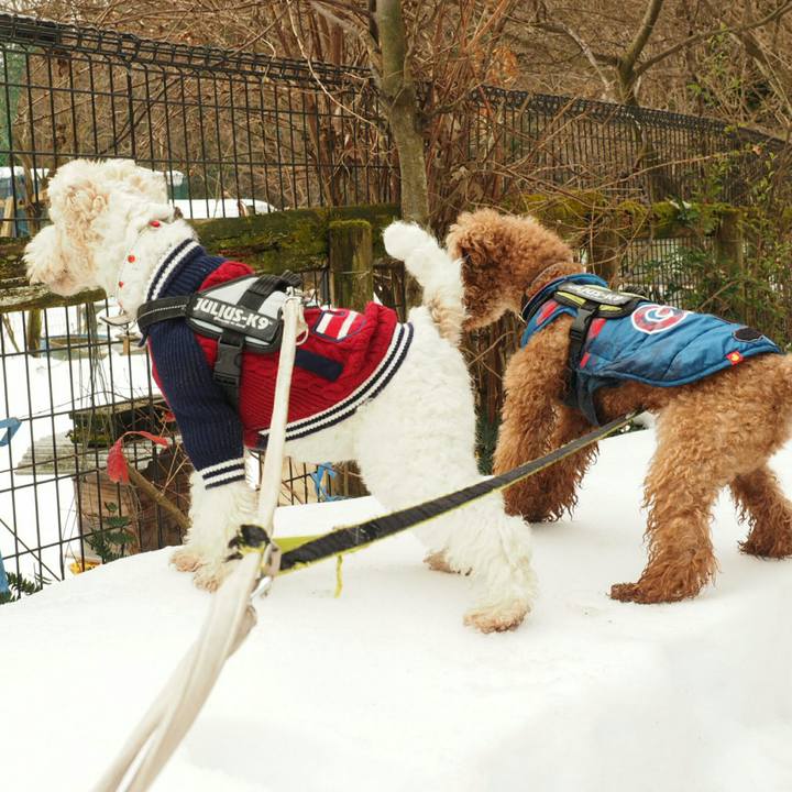 Ea804864 a95f 43a9 a0f0 38992729ec3c