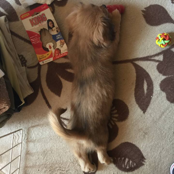 Ea821d36 ed47 41b4 9200 741c275ac03a