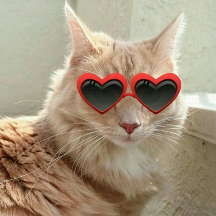 Ea8252b1 6425 4446 9b46 af1db42921c6