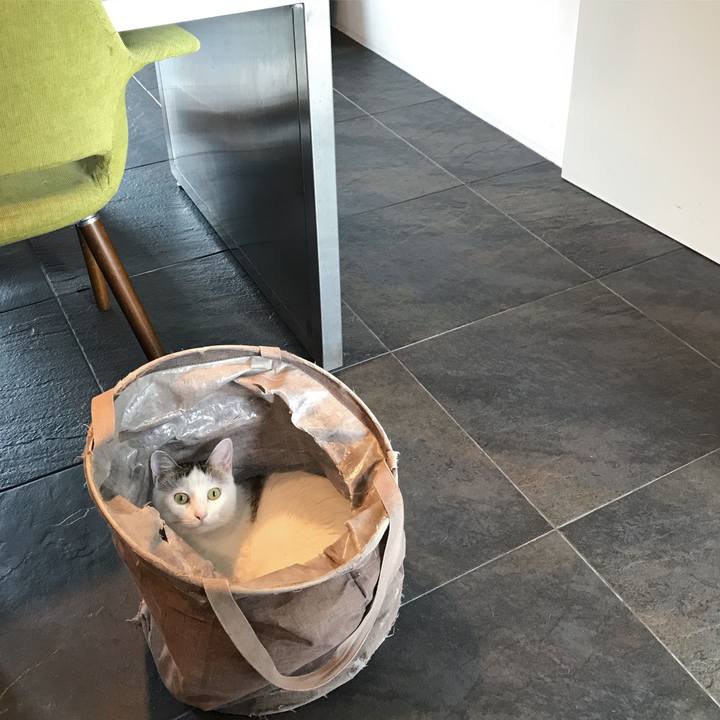 Ea825479 912f 42c9 b385 67daa6b29e21