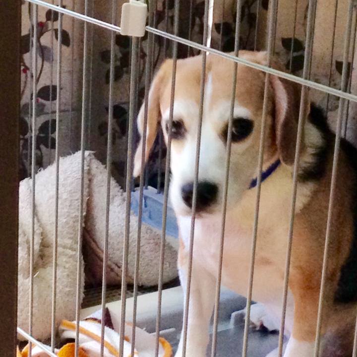 Ea828cb6 aa4a 4128 9265 adc6f312b30e