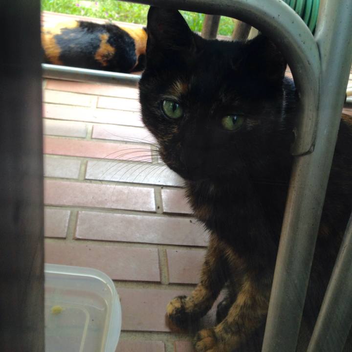 Ea82dae6 ffd9 4094 9257 2369329baa61