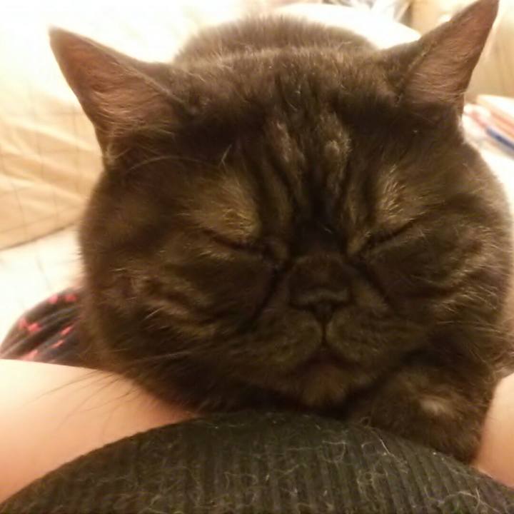 Ea838c9f 67cd 4eb0 815c 60d81a3c947c