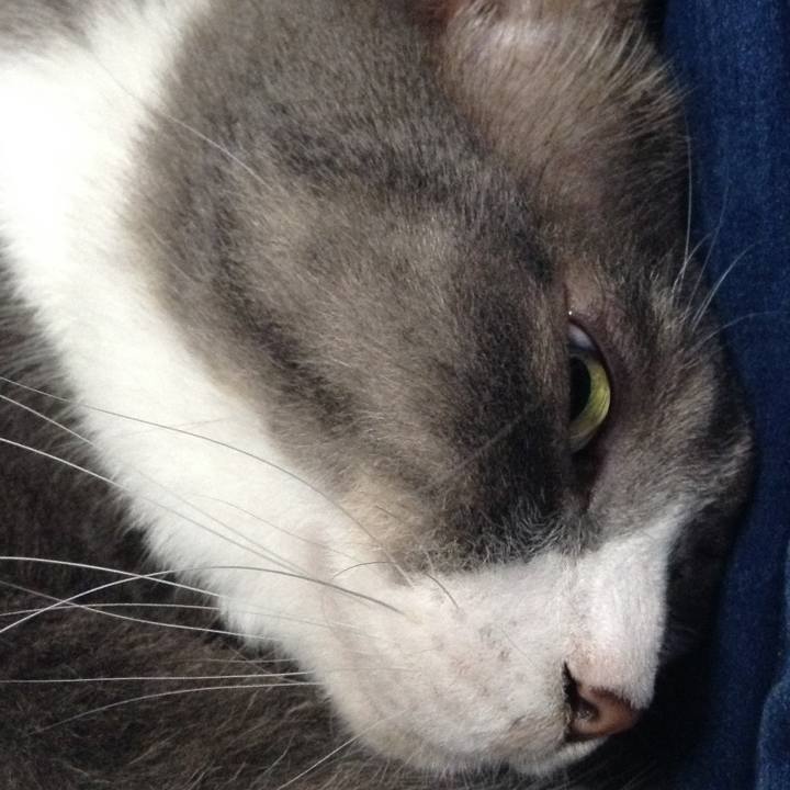 Ea83a6d0 e46c 4671 8a78 e964082306c3