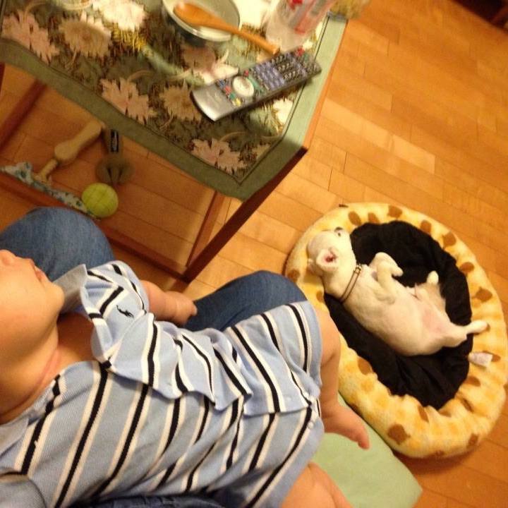 Ea8432ee 1006 46e2 ad75 56eaa97a3be3