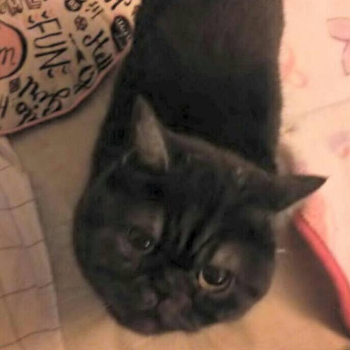 Ea84820e 32e2 4d80 a096 ae17e8401e61