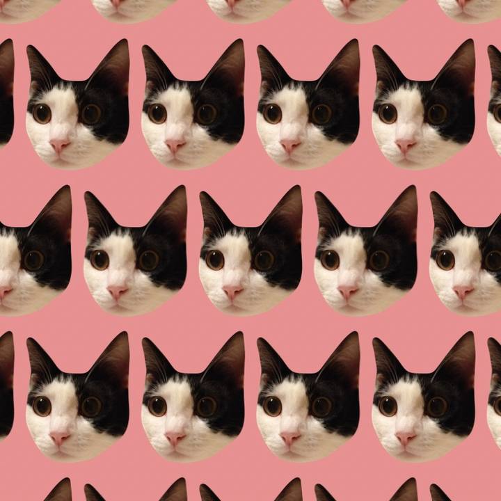 Ea84c17a 7f9f 411b 8b39 8244df9ac732