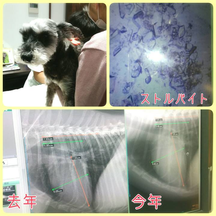 Ea84e265 6a6f 4331 a271 1e9b4e45d63e