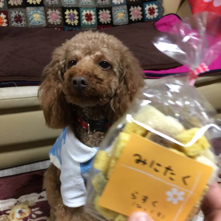 Ea850664 5e5a 4dec 825b 05e64e5875b9