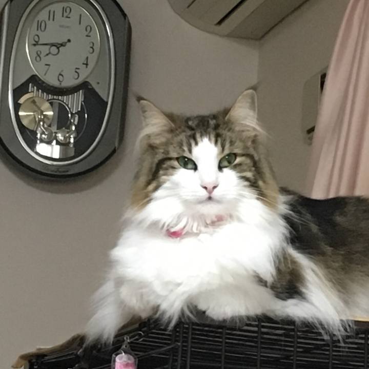 Ea856718 01f4 4fbc b480 869998b74818