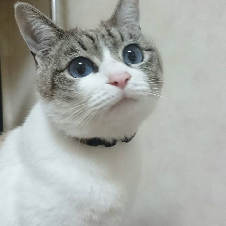 Ea861b93 0d9c 4234 9cbc 05dad568074e