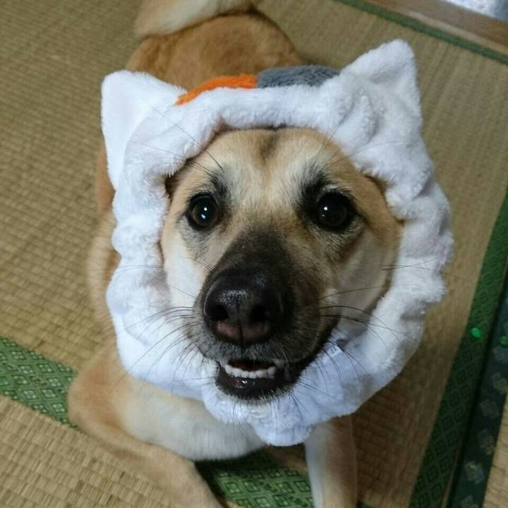 Ea86edcf 531b 4efa 8d83 dc7c6d11aebb