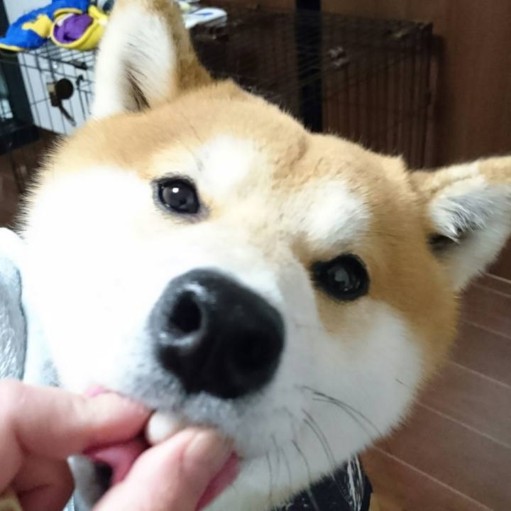 Ea872a1e bafe 4aa2 a929 be39629a7491