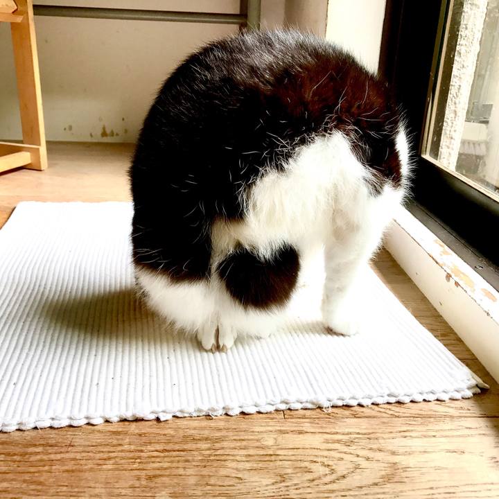 Ea873c64 faa1 4eb2 aecb 5e8fbf9f894a