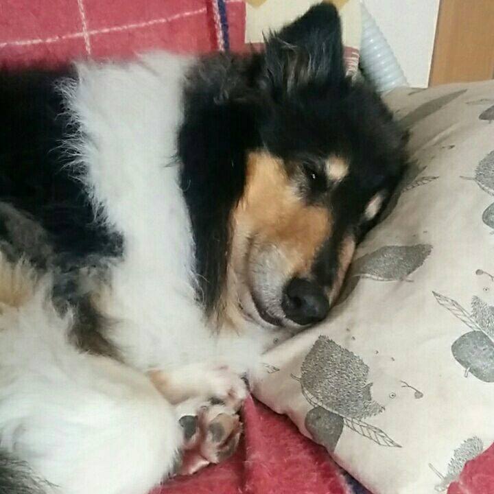 Ea87c1b7 831d 4bd6 9260 8496c6fe885e