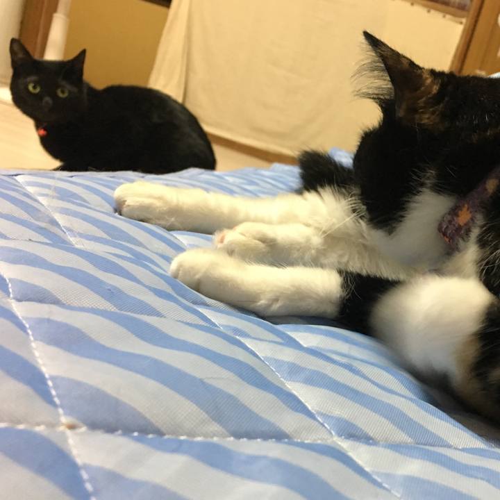 Ea881510 3574 4c9a 9e02 3a94e3ce3678