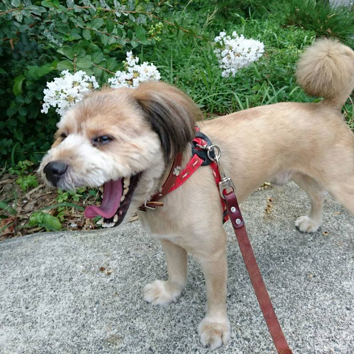 Ea888d26 a5aa 4a37 ada2 08675f773634