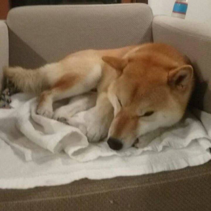 Ea889986 ca55 4524 a78c 20ac73af1f8c