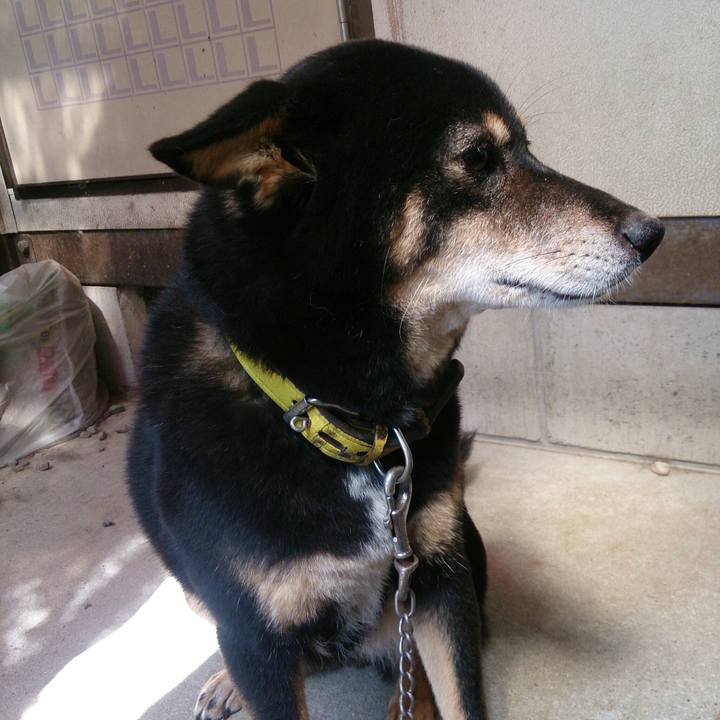 Ea88a16e 95af 47db 95d7 defa810dcd1f