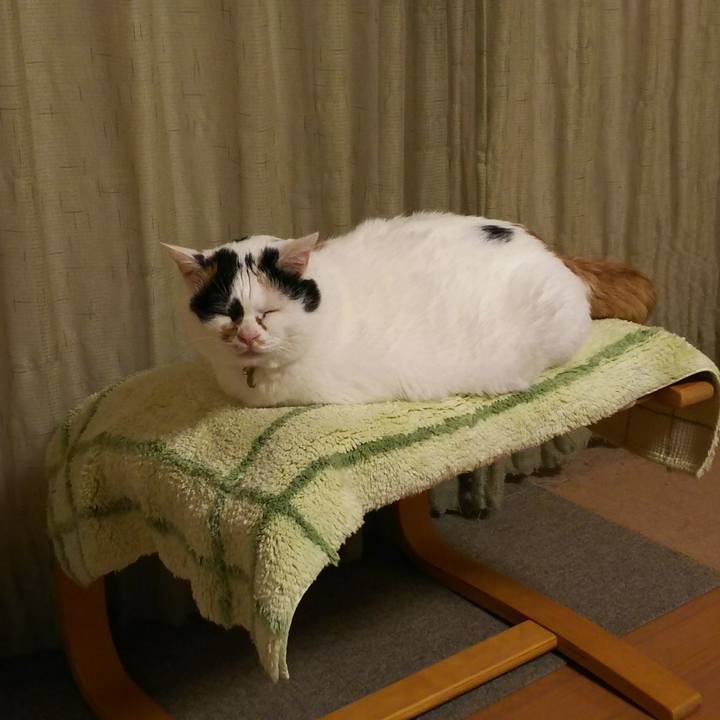 Ea894d4f dba7 4bb3 880c c83e83efd67f