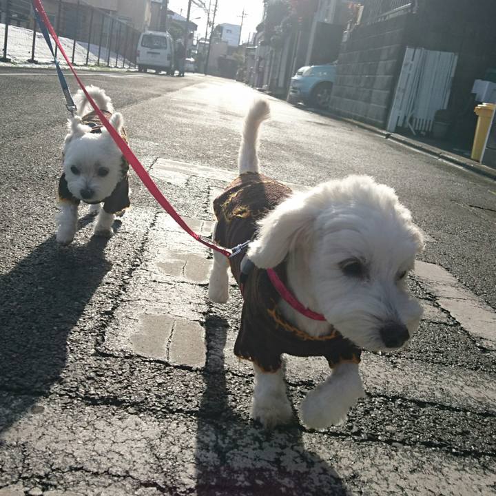 Ea89b1ce 3e5c 4d9a b92f a117eb4bb7f5